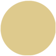 Gold Prom Dresses  Canada Clearance